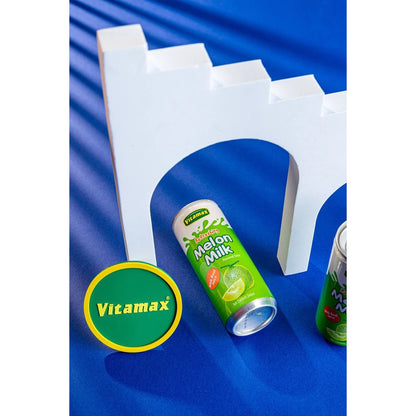Vitamax Ready to Drink (in 4 cans) Melon Juice & Salted Caramel Milk Drink Low Fat No Cholesterol Halal